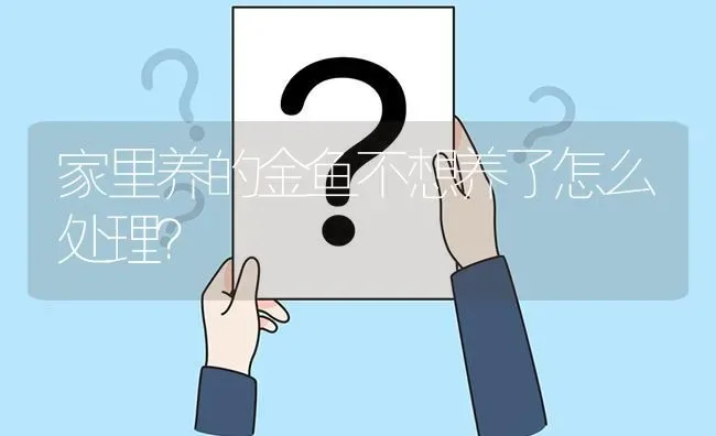 家里养的金鱼不想养了怎么处理？ | 鱼类宠物饲养