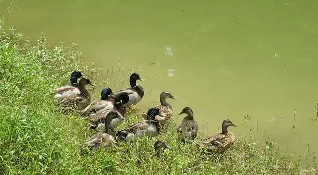 网络营销助农民走上赚钱致富的捷径