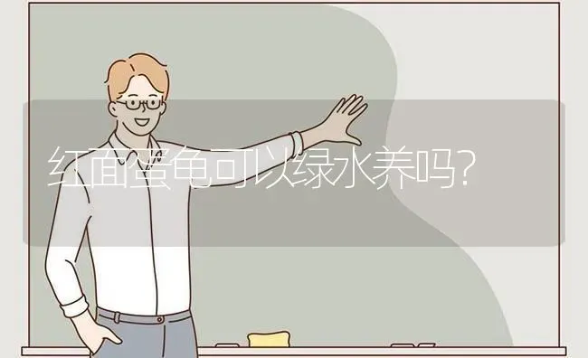 阿拉斯加犬一共有几种颜色啊？ | 动物养殖问答