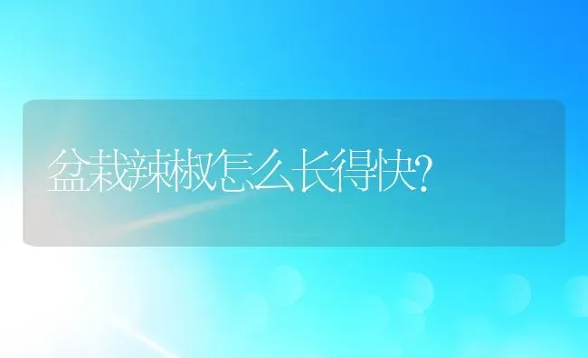 盆栽辣椒怎么长得快？ | 动物养殖百科