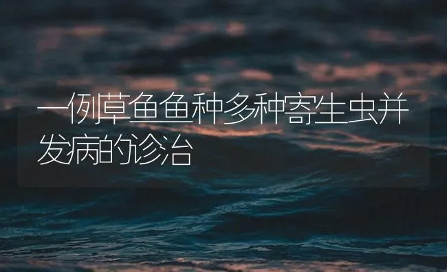 一例草鱼鱼种多种寄生虫并发病的诊治 | 海水养殖技术