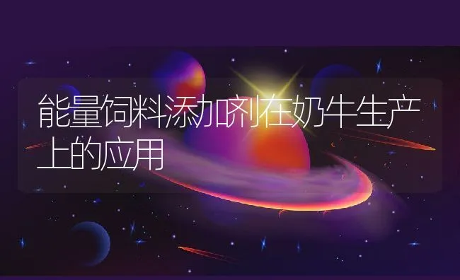 能量饲料添加剂在奶牛生产上的应用 | 动物养殖饲料