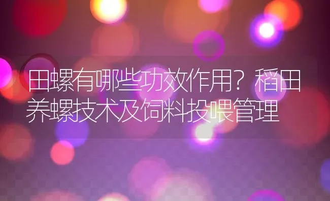 田螺有哪些功效作用？稻田养螺技术及饲料投喂管理 | 动物养殖百科