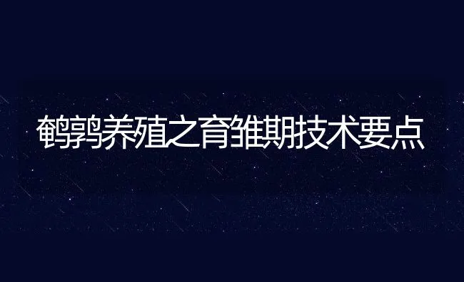 鹌鹑养殖之育雏期技术要点 | 动物养殖饲料