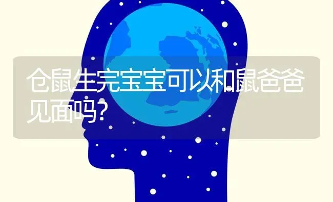 仓鼠生完宝宝可以和鼠爸爸见面吗？ | 动物养殖问答