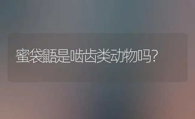 蜜袋鼯是啮齿类动物吗？ | 动物养殖问答