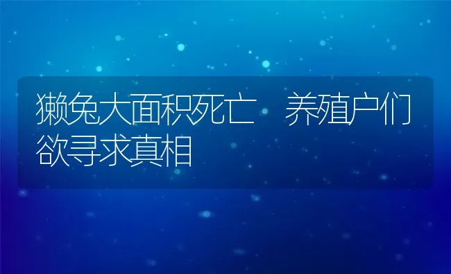 猪饲料添加姜黄素 增收养猪业 | 动物养殖学堂