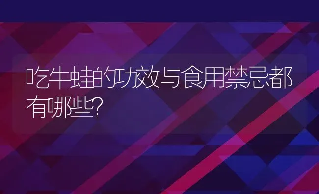 吃牛蛙的功效与食用禁忌都有哪些？ | 动物养殖百科