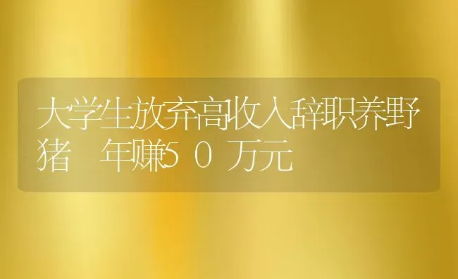 大学生放弃高收入辞职养野猪 年赚50万元 | 动物养殖教程