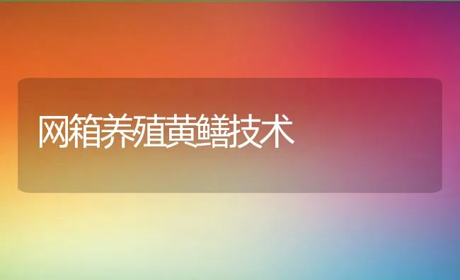 网箱养殖黄鳝技术 | 水产养殖知识