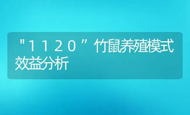 ＂1120”竹鼠养殖模式效益分析 | 动物养殖教程