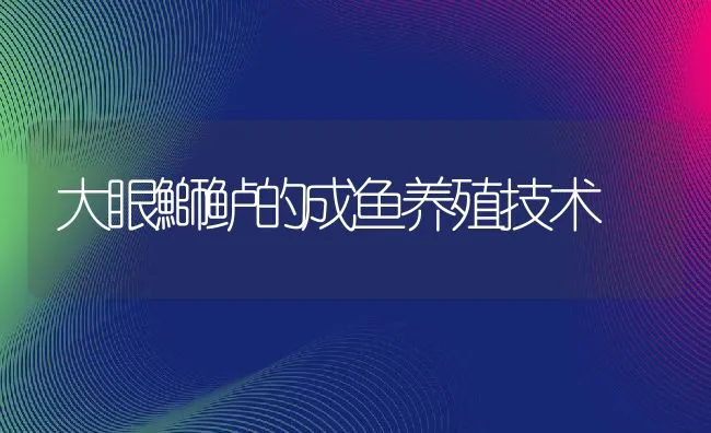 肉鸭密集旱养新技术 | 动物养殖学堂