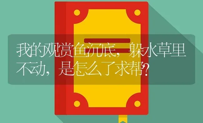 我的观赏鱼沉底，躲水草里不动，是怎么了求帮？ | 鱼类宠物饲养