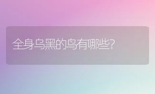 全身乌黑的鸟有哪些？ | 动物养殖问答