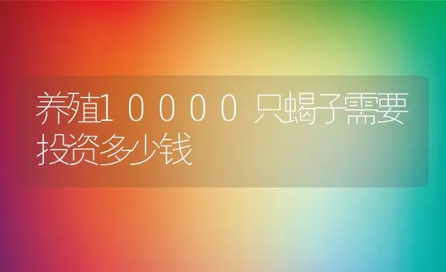 养殖10000只蝎子需要投资多少钱 | 动物养殖百科