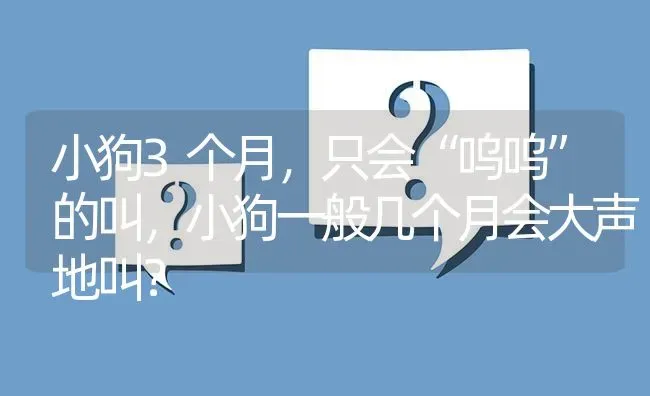 小狗3个月，只会“呜呜”的叫，小狗一般几个月会大声地叫？ | 动物养殖问答