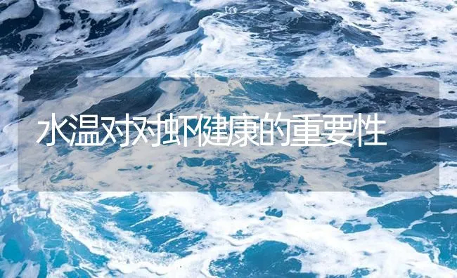 水温对对虾健康的重要性 | 海水养殖技术