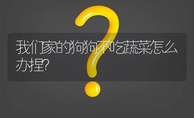 恶霸和法斗哪个臭？ | 动物养殖问答