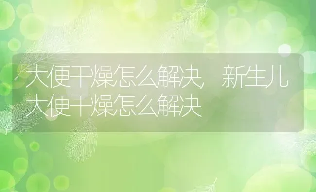 大便干燥怎么解决,新生儿大便干燥怎么解决 | 宠物百科知识