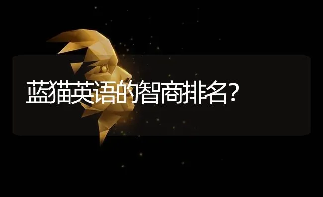 蓝猫英语的智商排名？ | 动物养殖问答