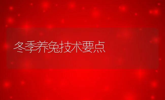 冬季养兔技术要点 | 动物养殖饲料