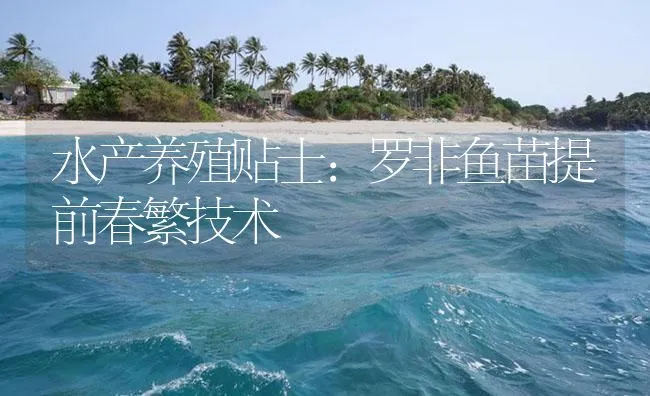 水产养殖贴士：罗非鱼苗提前春繁技术 | 海水养殖技术