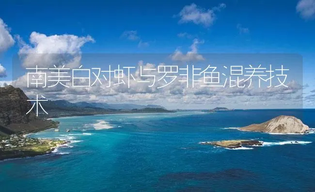 南美白对虾与罗非鱼混养技术 | 海水养殖技术