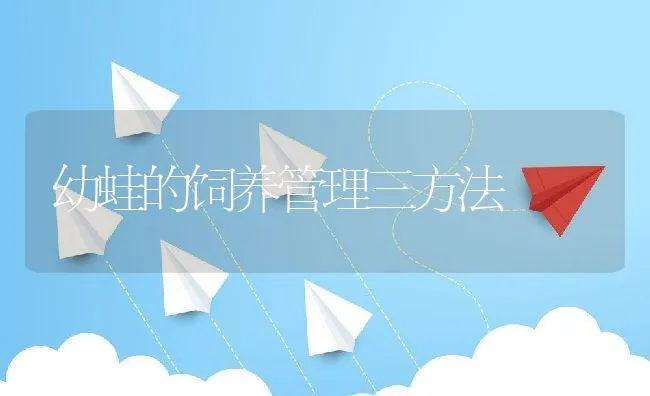 蛋鸡体形发育调控要点 | 动物养殖学堂