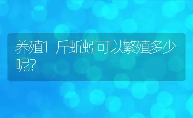 养殖1斤蚯蚓可以繁殖多少呢？ | 动物养殖百科