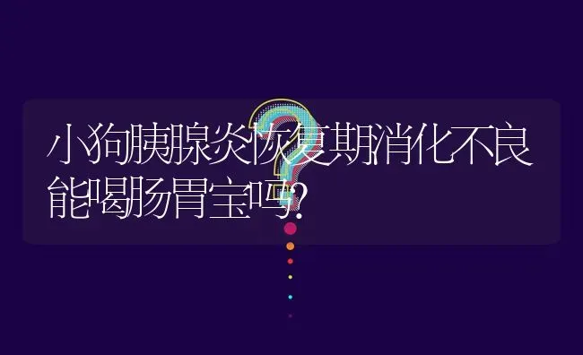 小狗胰腺炎恢复期消化不良能喝肠胃宝吗？ | 动物养殖问答