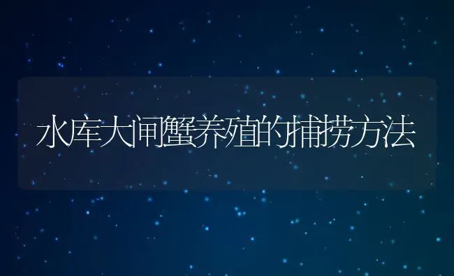 水库大闸蟹养殖的捕捞方法 | 淡水养殖技术