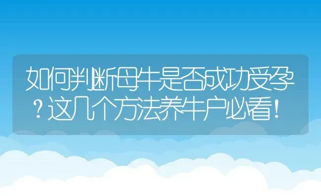 如何判断母牛是否成功受孕？这几个方法养牛户必看！ | 动物养殖百科