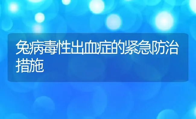 兔病毒性出血症的紧急防治措施 | 动物养殖学堂