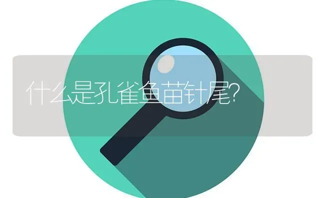 什么是孔雀鱼苗针尾？ | 鱼类宠物饲养