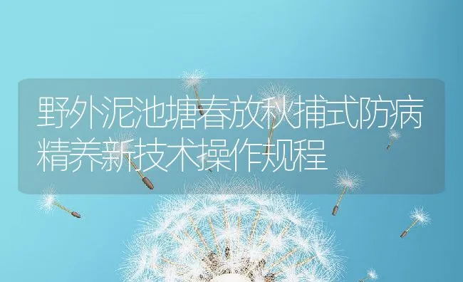 野外泥池塘春放秋捕式防病精养新技术操作规程 | 水产养殖知识