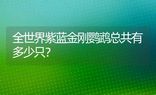 全世界紫蓝金刚鹦鹉总共有多少只？ | 动物养殖问答