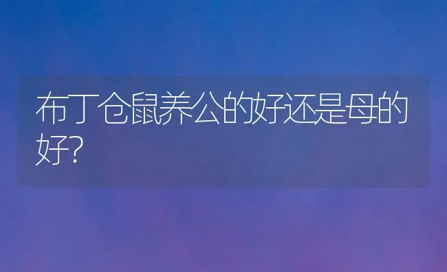 巴西龟壳有点白色怎么回事？ | 动物养殖问答