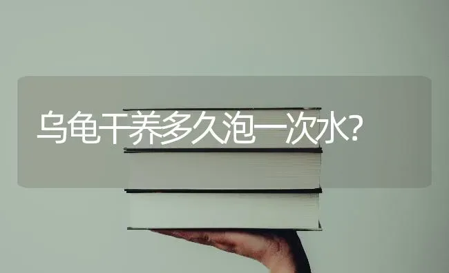 乌龟干养多久泡一次水？ | 动物养殖问答