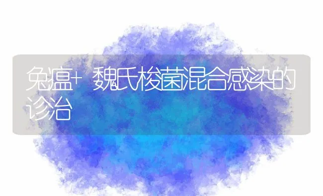 兔瘟+魏氏梭菌混合感染的诊治 | 动物养殖学堂