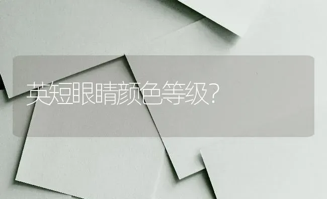 英短眼睛颜色等级？ | 动物养殖问答