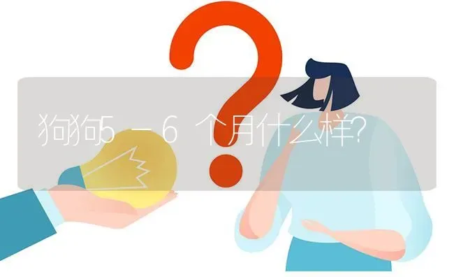 狗狗5-6个月什么样？ | 动物养殖问答