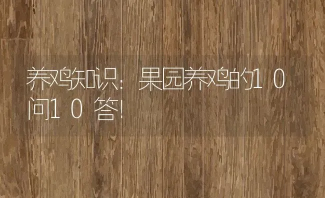 养鸡知识：果园养鸡的10问10答！ | 动物养殖百科