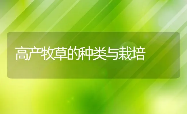 江苏丹阳市举办太湖1号青虾养殖技术培训班 | 海水养殖技术