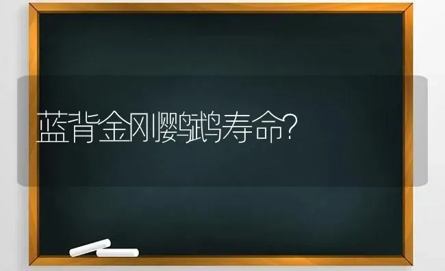 刚出生的布偶猫为什么老死？ | 动物养殖问答