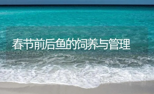 春节前后鱼的饲养与管理 | 海水养殖技术