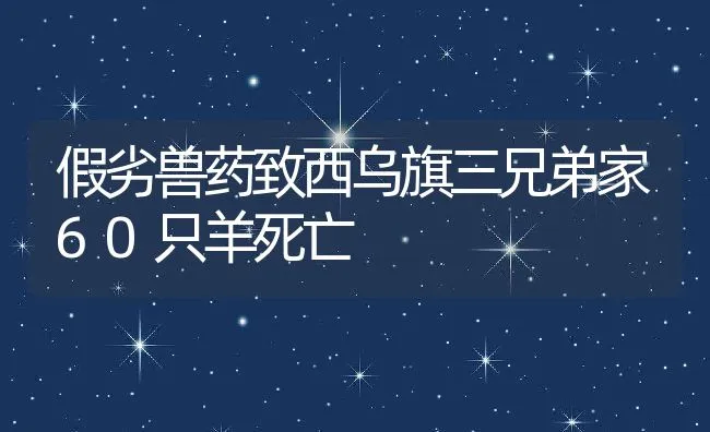 假劣兽药致西乌旗三兄弟家60只羊死亡 | 动物养殖饲料