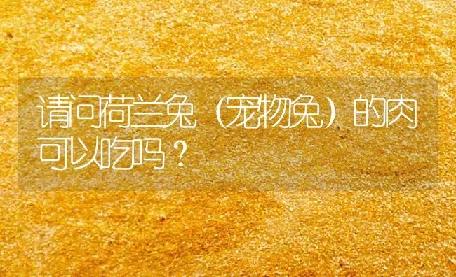 请问荷兰兔（宠物兔）的肉可以吃吗？ | 动物养殖问答