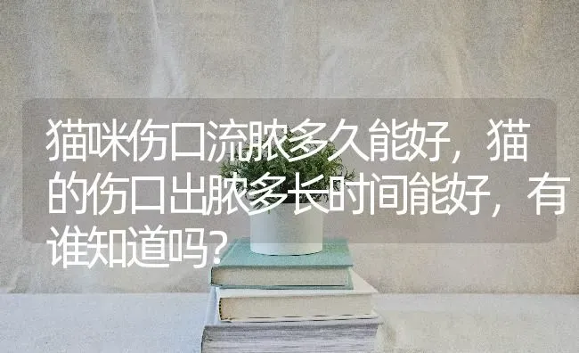 猫咪伤口流脓多久能好，猫的伤口出脓多长时间能好，有谁知道吗？ | 动物养殖问答