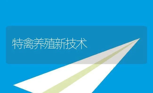 特禽养殖新技术 | 动物养殖学堂