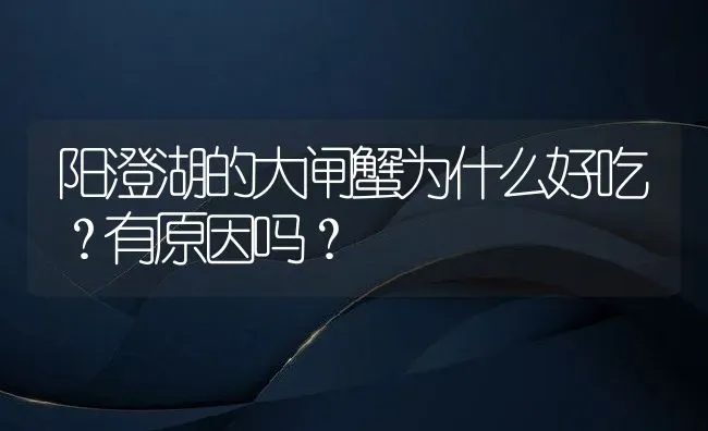 阳澄湖的大闸蟹为什么好吃？有原因吗？ | 动物养殖百科